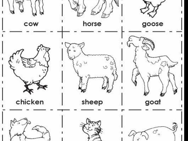 Ficha: Animales en inglés