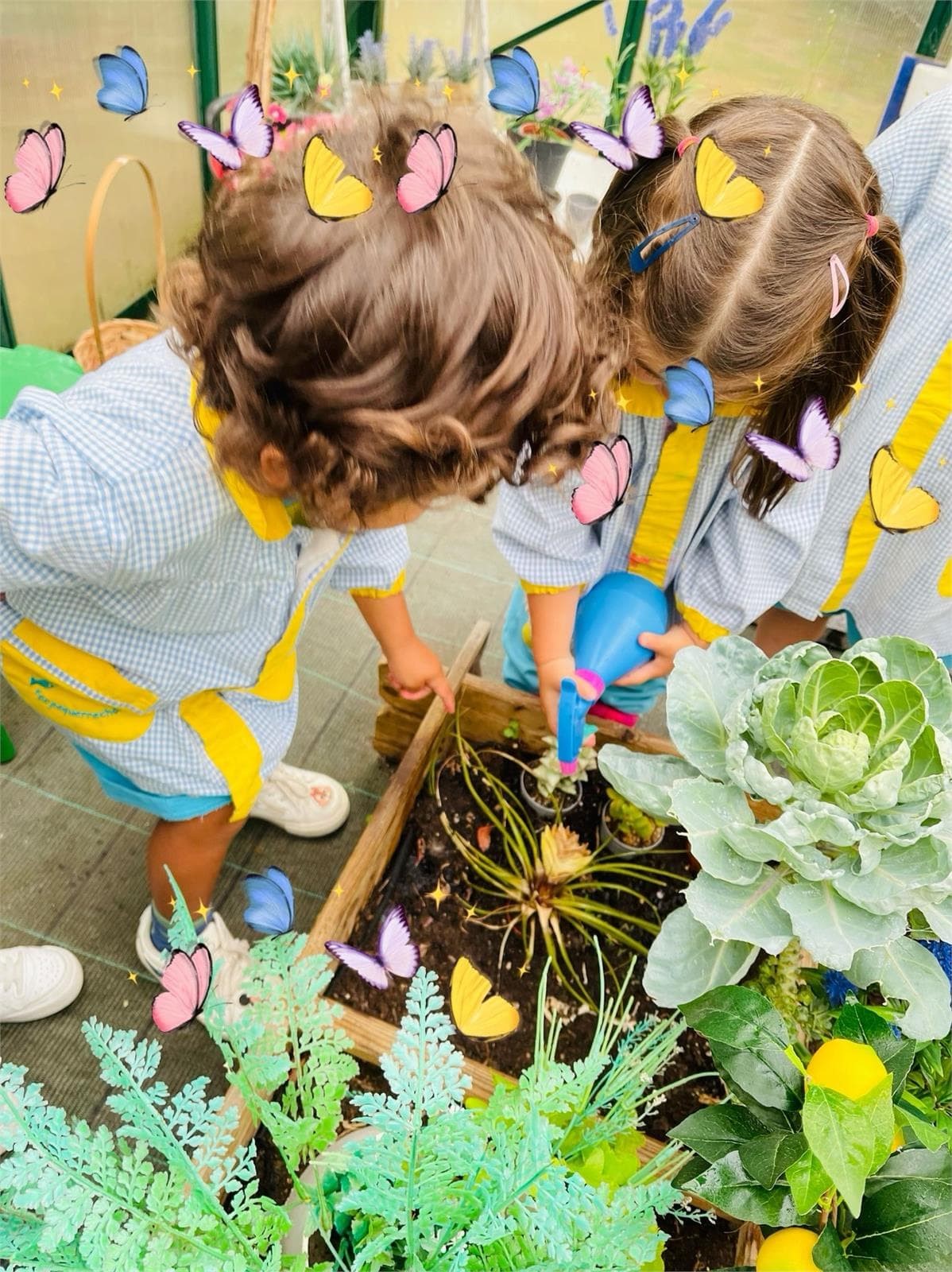 HACEMOS JARDINERIA- OS PEQUERRECHOS DA ZAPATEIRA  - Imagen 1