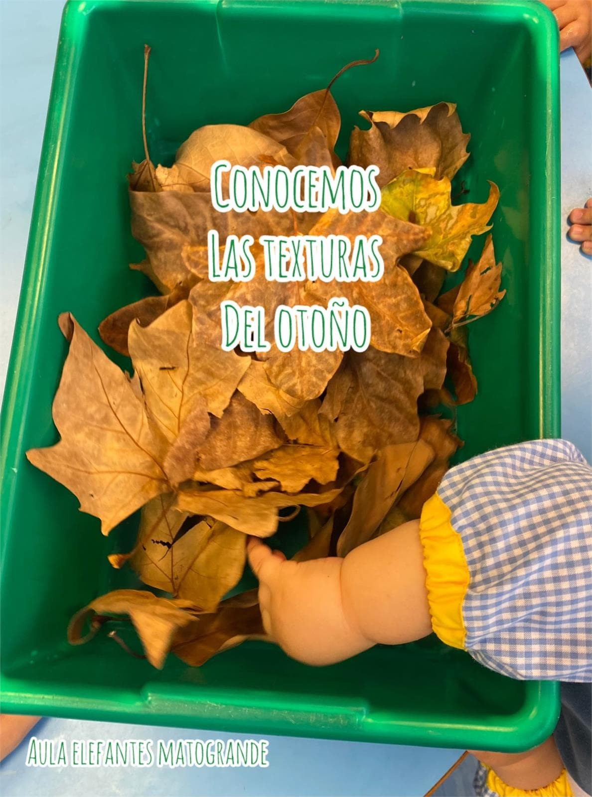 NUESTROS TRABAJITOS DEL OTOÑO - Imagen 10