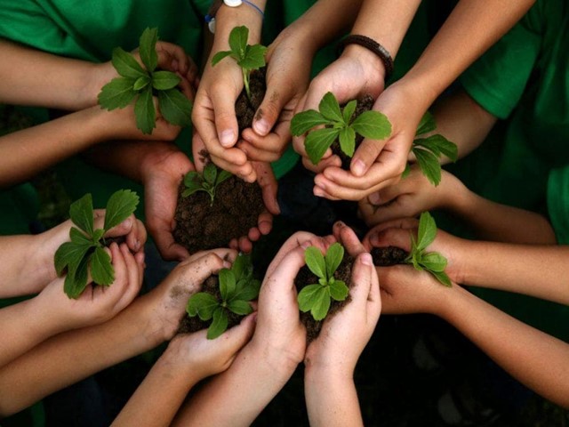 SEMANA ECOLÓGICA 