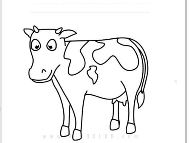 VACA-COW