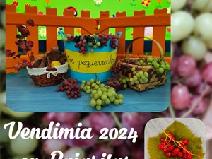 VENDIMIA 2024 